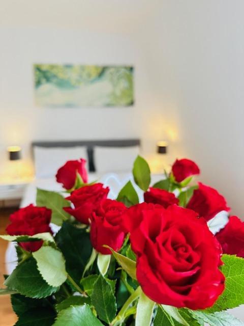 Apartamento Villeta Aspern Near U1/ U2 Donauspital Viena